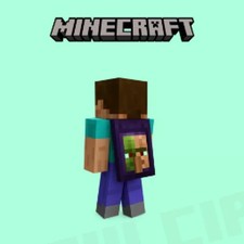 Minecraft Experience Cape Code