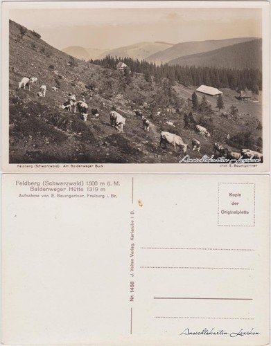 Ansichtskarte feldberg - ansichtskarte,