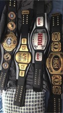 Authentic WWE Pro Wrestling Championship Belt