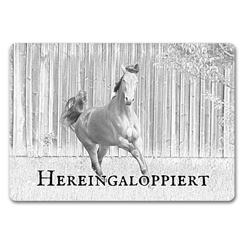 Hereingaloppiert fussmatte mit - fussmatte,