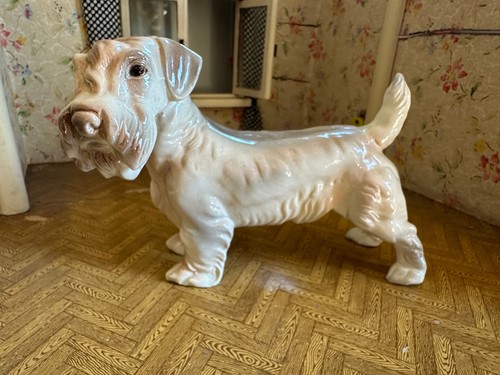 5025 2879 alter hund - alter,