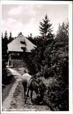Ak Ottenhöfen im Schwarzwald