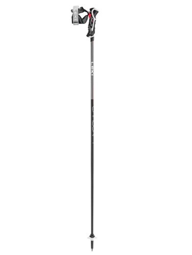 Leki skistöcke carbon - leki, 3d