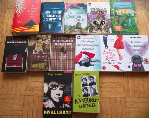 13x bücher sammlung - bücher,