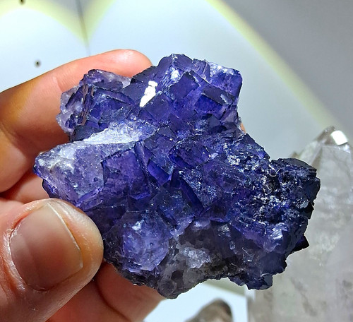 Amethyst sammlerstufe - amethyst,