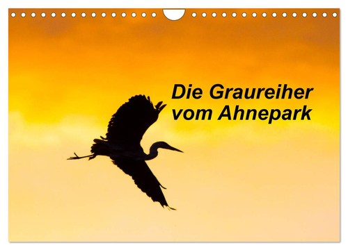 Die graureiher vom - graureiher,