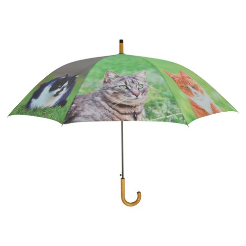 Regenschirm sonnenschirm - regenschirm,