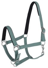 Covalliero Halfter + Strick