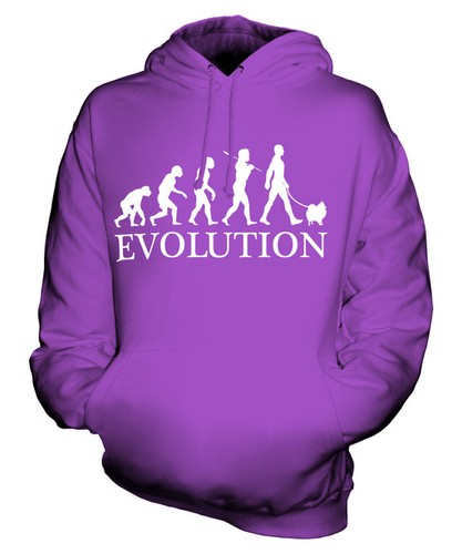 Pomeranian evolution man - pomeranian, of