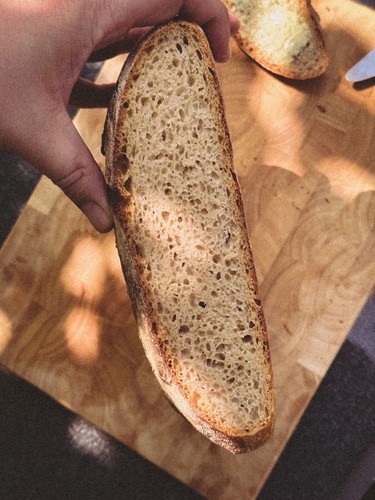 Sauerteig anstellgut - sauerteig,