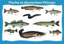 mrdeco Blechschild 30x40cm