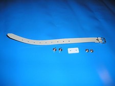 5 Schnallriemen mit geschweißter Rollschnalle Kunststoff beige 300 mm