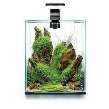 Aquael shrimp set - day, &
