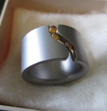 NIESSING Kaiserbäder Ring, Edelstahl satiniert, top Zustand, Gr. 48