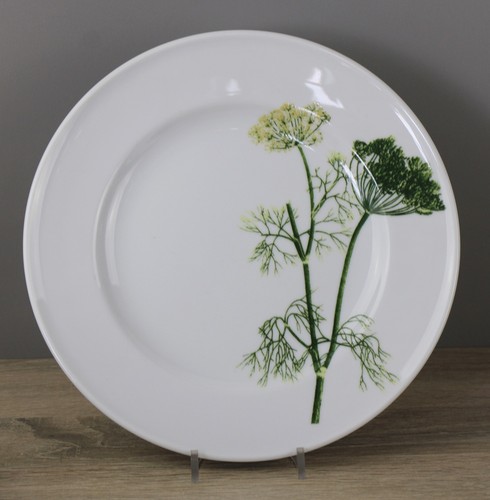 Dibbern herbaticum - dibbern,