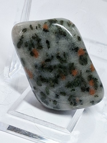 Gneis mit aktinolith und - aktinolith,
