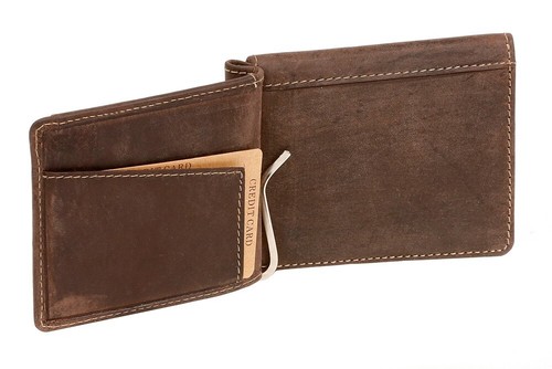 Dollar money clip - &,