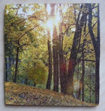 Deko HDF - Natur Wald Bäume Herbst Blätter