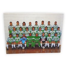 Frölunda IF Mannschaftsfoto