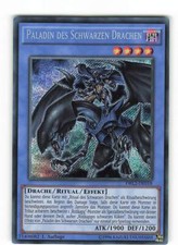 Yugioh PALADIN OF THE BLACK