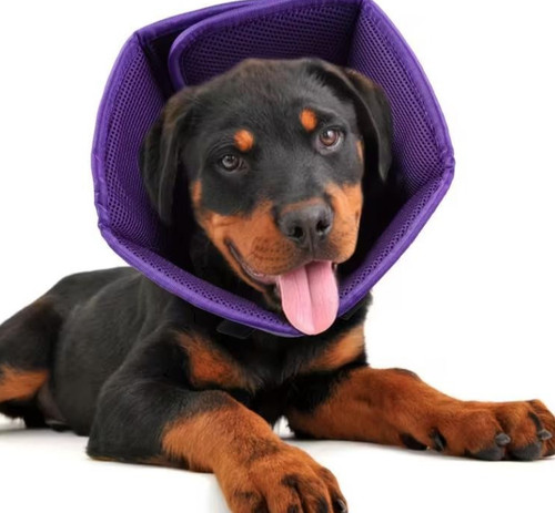 Halskrause für kleine hunde - kleine,