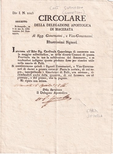 Xx967 autografo ugo - xx967-autografo,
