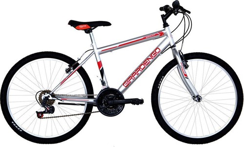 Fahrrad mtb gang stahl - 24,