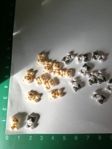 Mini katzen 2 verschiedene - mini-katzen,