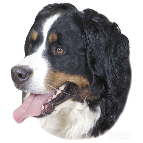 Nobby aufkleber berner - aufkleber,