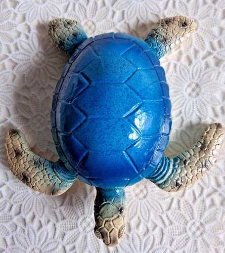 Süße türkise schildkröte - süße,