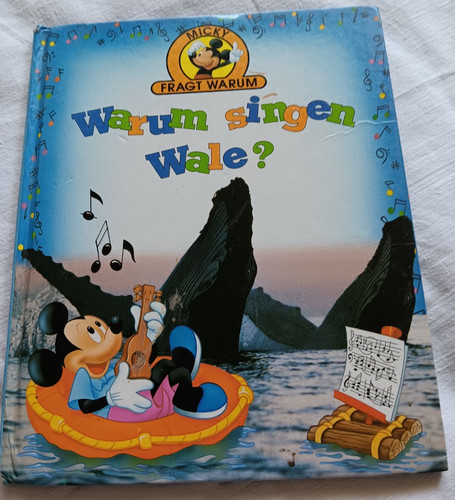 Kinderbuch micky fragt - micky,