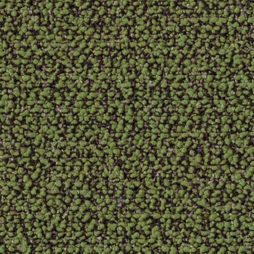 Teppich vorwerk altea - vorwerk,