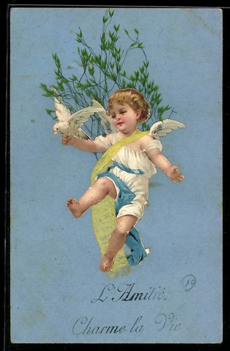 engel taube