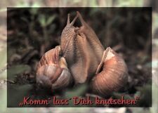 Spruch - Ansichtskarte: zwei