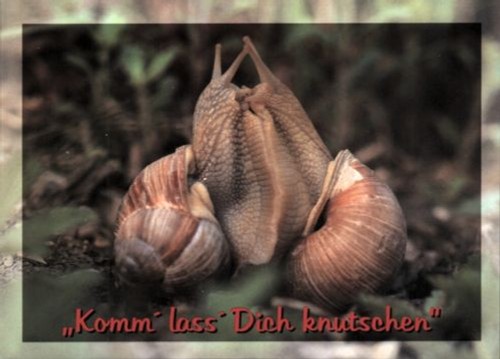 Spruch ansichtskarte zwei - -, ansichtskarte: