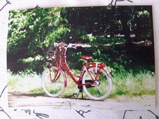 damen fahrad der marke batavus farbe rot