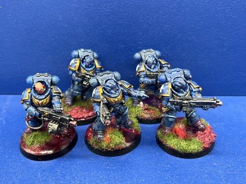 Primaris heavy intercessors - 5,