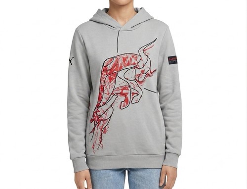Puma red bull racing hoodie - red,