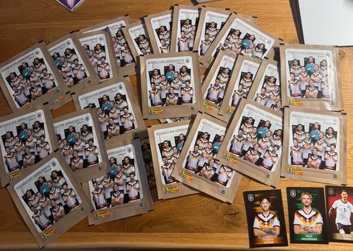 Edeka panini dfb karten - panini, wm