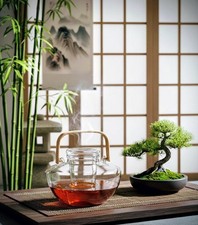 Trendglas Jena/Jenaer Glas