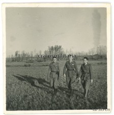 Orig foto legion condor - foto,