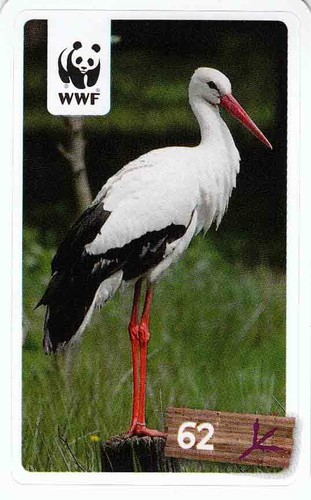 Rewe wwf tier abenteuer - rewe,