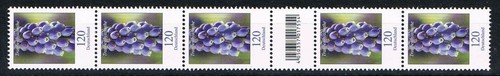 Bund minr 3447 ean - bund:, 5er