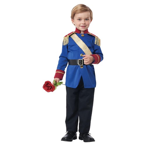Hübscher kleiner prinz - hübscher,