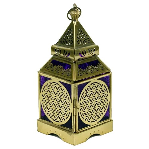 Orientalische laterne blume - orientalische,