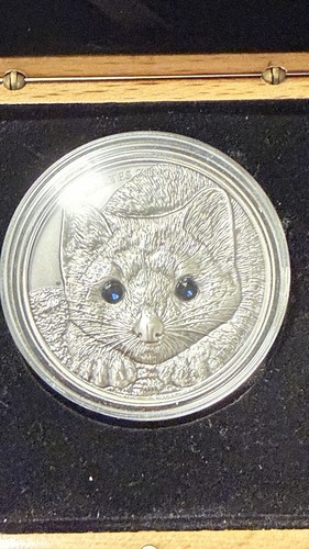 Sable 2017 silber 999 - 1, oz