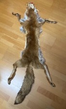 Fuchsfell Fuchsfelle Fell Fuchs Mittelalter Larp Fuchspelz