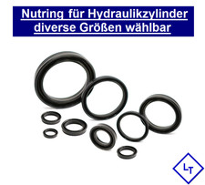 10DDIM Stangendichtung NBR