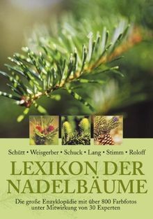 Lexikon der nadelbäume die - lexikon,