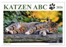 Katzen ABC (Wandkalender 2026